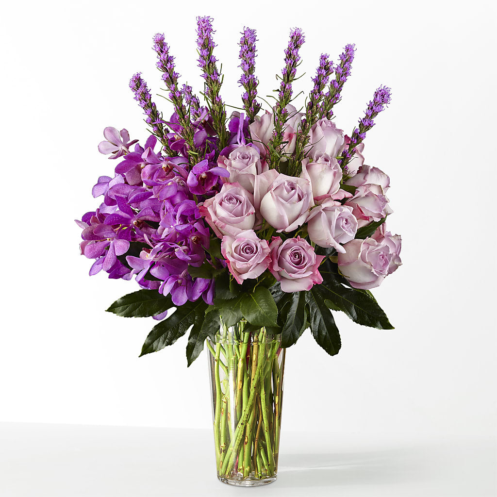 The Maximalist –  My Dream Flowers, Bronx NY