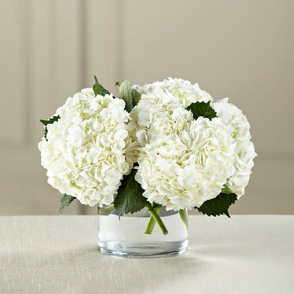 White Hydrangea Bouquet –  My Dream Flowers, Bronx NY